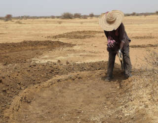 Die Teilnehmer der FFA-Programme arbeiten an ihren Halbmonden. Foto: WFP/Mariama Ali Souley